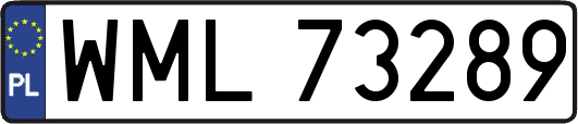 WML73289