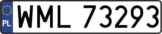 WML73293