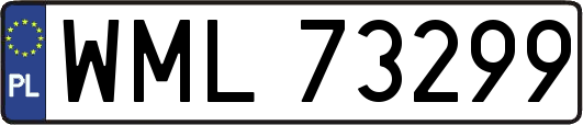 WML73299