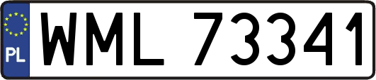 WML73341