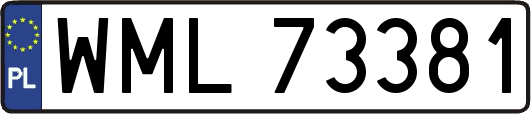 WML73381