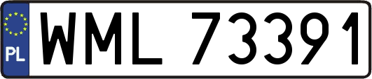 WML73391
