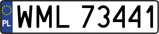 WML73441