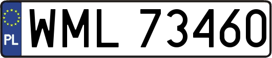 WML73460