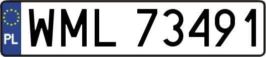 WML73491
