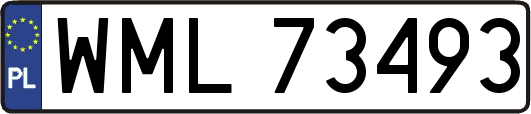 WML73493