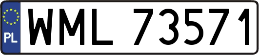 WML73571