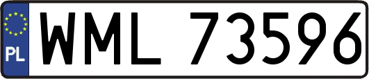 WML73596