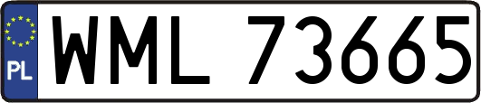 WML73665