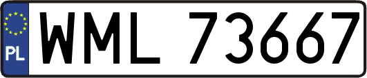 WML73667
