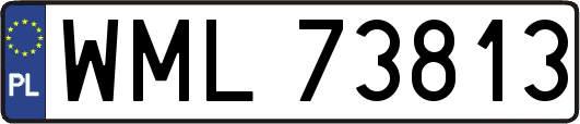 WML73813