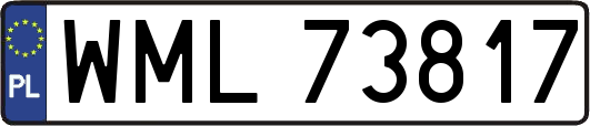 WML73817