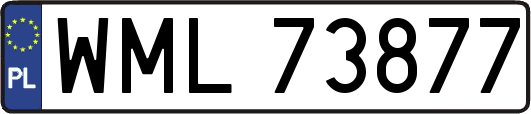WML73877