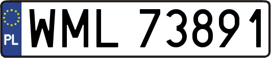 WML73891