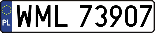 WML73907