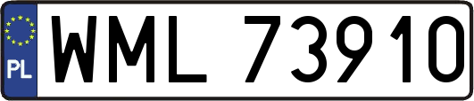 WML73910