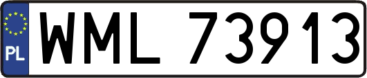 WML73913
