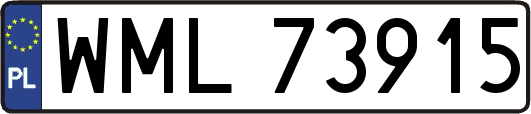 WML73915