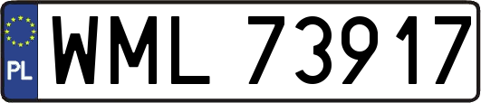 WML73917