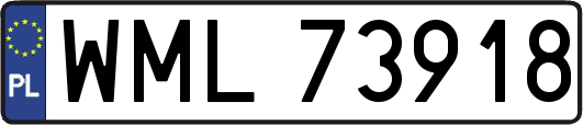 WML73918
