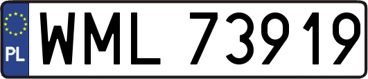 WML73919