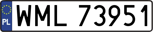 WML73951