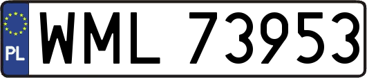 WML73953