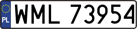WML73954