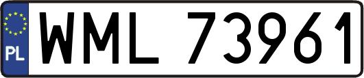 WML73961