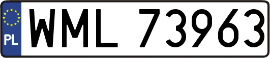 WML73963