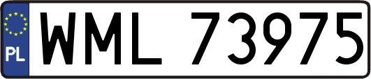 WML73975