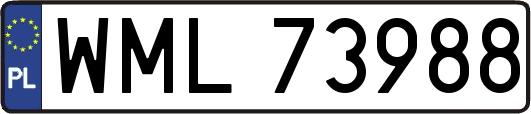 WML73988