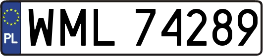 WML74289