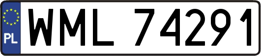 WML74291