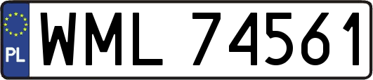 WML74561