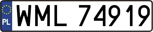 WML74919