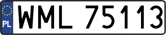 WML75113