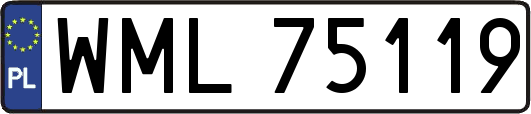 WML75119