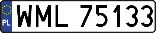 WML75133