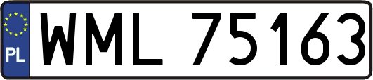 WML75163