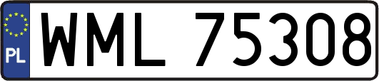 WML75308