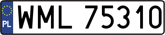 WML75310