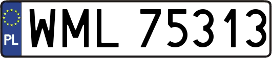 WML75313