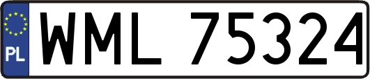 WML75324