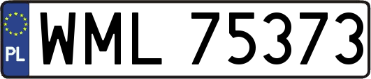 WML75373