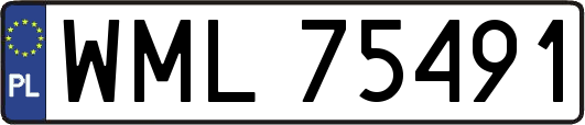 WML75491