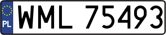 WML75493