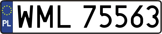 WML75563