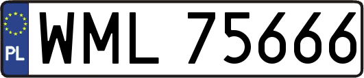 WML75666