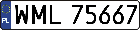 WML75667